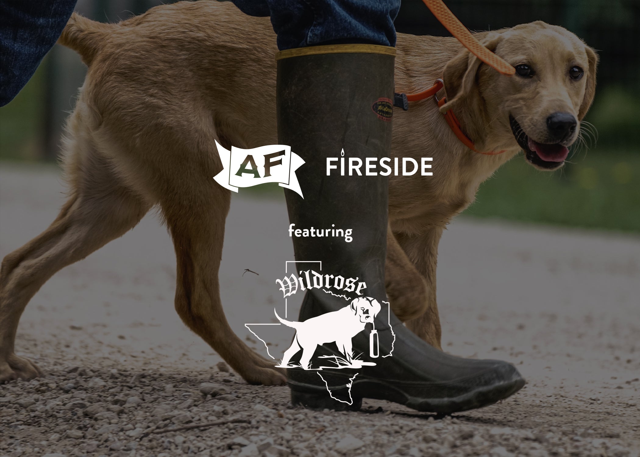 Wildrose Texas x AF Fireside